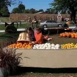 Mink and Walters Pumpkin Patch photo