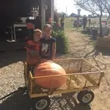 Mink and Walters Pumpkin Patch photo