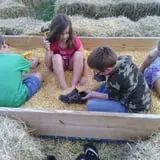 Mink and Walters Pumpkin Patch photo
