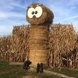 Mink and Walters Pumpkin Patch photo