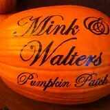 Mink and Walters Pumpkin Patch photo