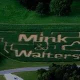 Mink and Walters Pumpkin Patch photo