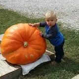 Mink and Walters Pumpkin Patch photo