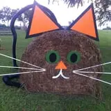 Mink and Walters Pumpkin Patch photo