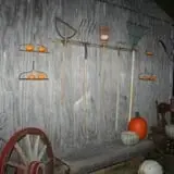 Mink and Walters Pumpkin Patch photo