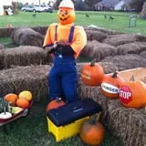 Mink and Walters Pumpkin Patch photo