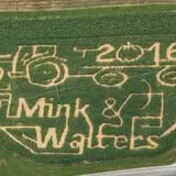 Mink and Walters Pumpkin Patch photo