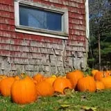 Willow Pond Farm photo