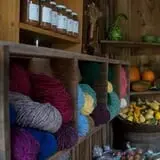 Willow Pond Farm photo