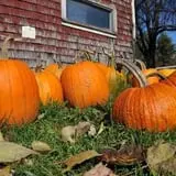 Willow Pond Farm photo