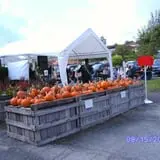 Altamont Orchards photo