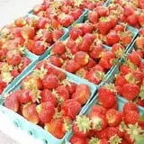 Altamont Orchards photo