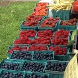 Altamont Orchards photo