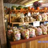 Altamont Orchards photo