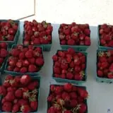 Altamont Orchards photo