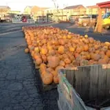 Altamont Orchards photo