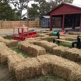 Altamont Orchards photo