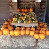 Altamont Orchards photo