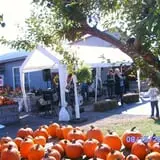Altamont Orchards photo