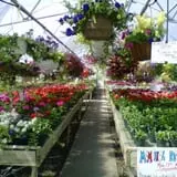 Altamont Orchards photo