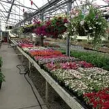Altamont Orchards photo