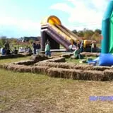 Altamont Orchards photo