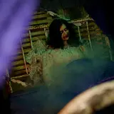 Niles Scream Park
