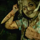 Niles Scream Park
