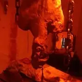 Cassadaga Haunted Attraction photo