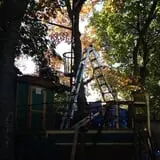 The Haunted Yard photo