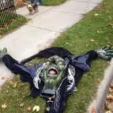 The Haunted Yard photo