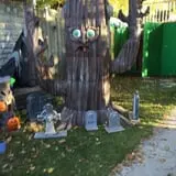 The Haunted Yard photo