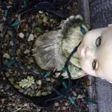 The Haunted Yard photo