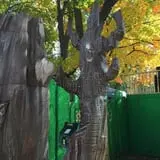 The Haunted Yard photo