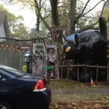 The Haunted Yard photo