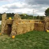 Thierbach Orchards & Berry Farm photo