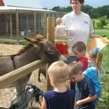 Thierbach Orchards & Berry Farm photo
