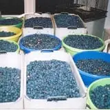Thierbach Orchards & Berry Farm photo