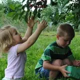 Thierbach Orchards & Berry Farm photo