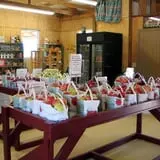 Thierbach Orchards & Berry Farm photo