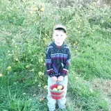 Thierbach Orchards & Berry Farm photo