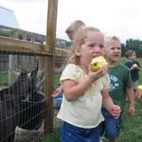 Thierbach Orchards & Berry Farm photo