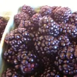 Thierbach Orchards & Berry Farm photo