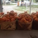 Hughey Farms photo