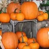 Hughey Farms photo