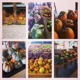 Hughey Farms photo
