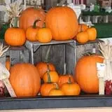 Hughey Farms photo