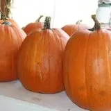 Hughey Farms photo
