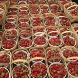 Hughey Farms photo