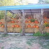 Hughey Farms photo